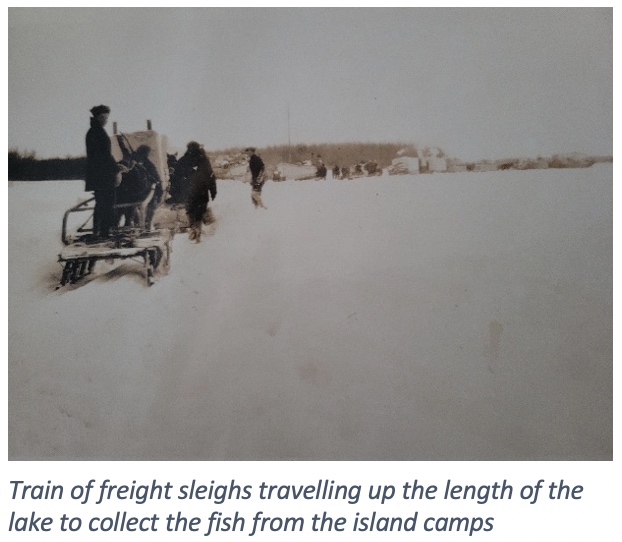 Train of freight sleights in the snow carrying supplies