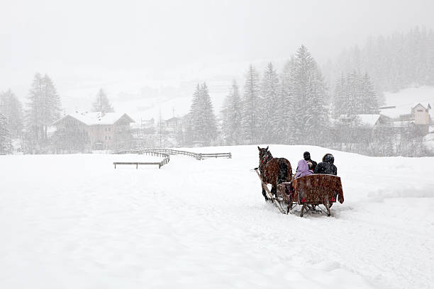 horse sleigh in blizzard